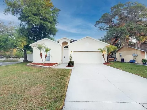 11102 Happy Acres Ln, Riverview, FL 33578