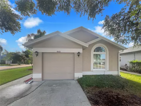 8615 Twin Farms Pl, Tampa, FL 33635