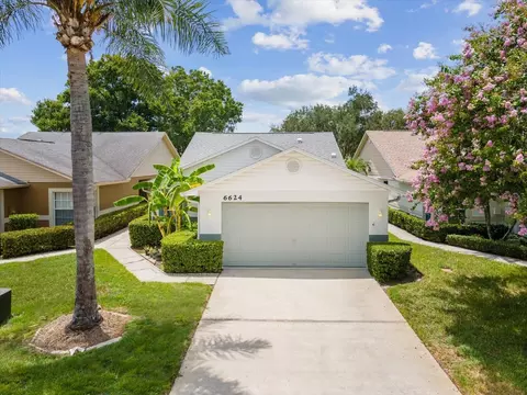 6624 Gentle Ben Cir, Wesley Chapel, FL 33544