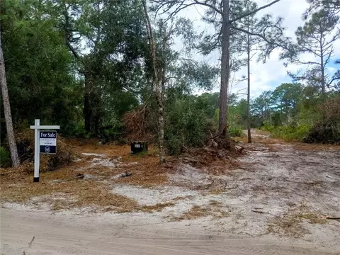 Sunrise Boulevard, Mount Dora, FL 32757