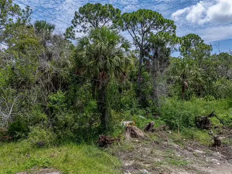 Shark Street, Hudson, FL 34667