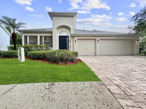 20022 Bluff Oak Blvd, Tampa, FL 33647