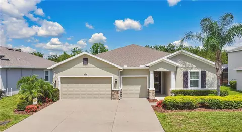 32176 Goddard Dr, Wesley Chapel, FL 33543