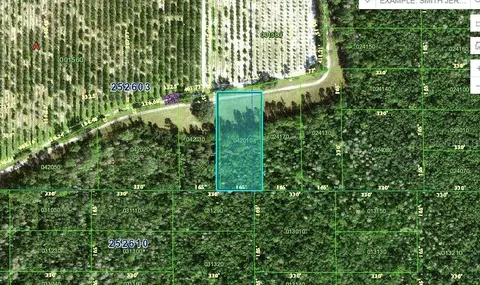 Deen Still Road, Polk City, FL 33868