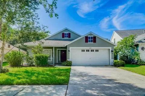 6256 Crickethollow Dr, Riverview, FL 33578