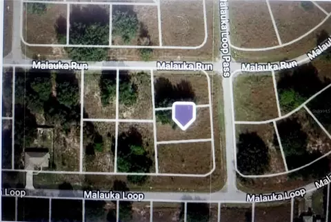 malauka loop pass, Ocklawaha, FL 32179
