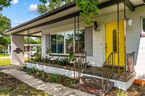 8909 Egret Way, Orlando, FL 32810
