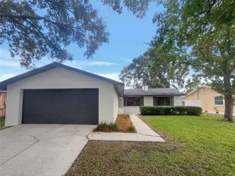 4732 Southbreeze Dr, Tampa, FL 33624