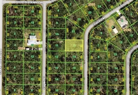 1579 Frisco Ter, Port Charlotte, FL 33953