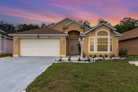 2344 Lily Pad Ln, Kissimmee, FL 34743