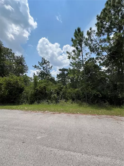 Kumquat Avenue, Eustis, FL 32736
