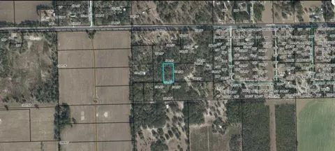 Cr-340, Bell, FL 32619 photo 4