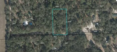 Cr-340, Bell, FL 32619 photo 2