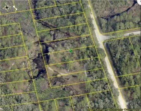 8250 Treiman Blvd, Webster, FL 33597 photo 5