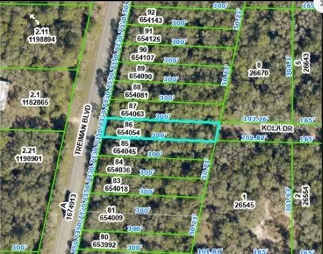 8250 Treiman Blvd, Webster, FL 33597 photo 3