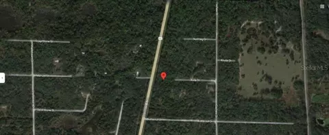 8250 Treiman Blvd, Webster, FL 33597 photo 4