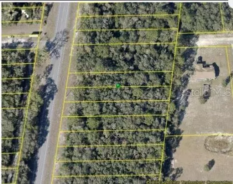 8086 Treiman Blvd, Webster, FL 33597 photo 2