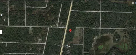 8086 Treiman Blvd, Webster, FL 33597 photo 5