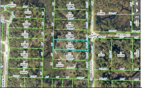 Chimney Rock Drive, Webster, FL 33597