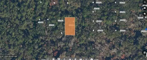 Paradise Lakes Avenue, Georgetown, FL 32139