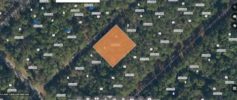 209 SE Paradise Lks, Georgetown, FL 32139