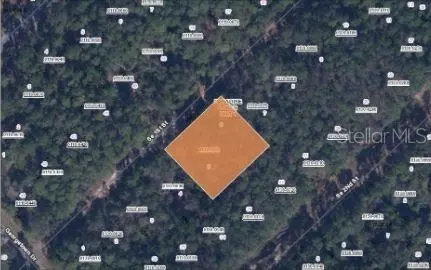 209 SE Paradise Lks, Georgetown, FL 32139 photo 2
