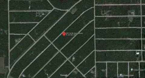 209 SE Paradise Lks, Georgetown, FL 32139 photo 5