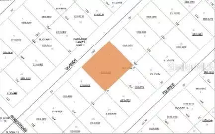 209 SE Paradise Lks, Georgetown, FL 32139 photo 3