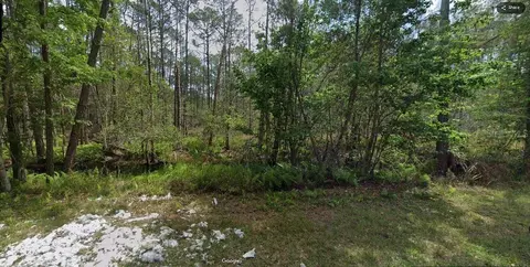 209 SE Paradise Lks, Georgetown, FL 32139 photo 6