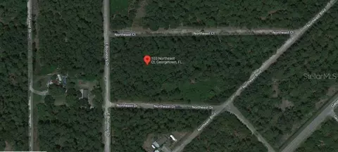 103 Northeast Ct, Georgetown, FL 32139 photo 5
