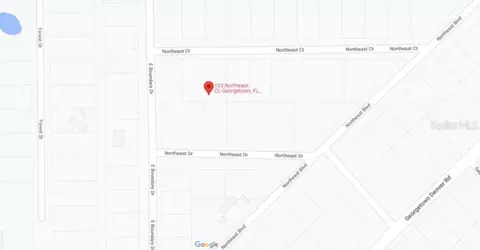 103 Northeast Ct, Georgetown, FL 32139 photo 4