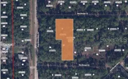 103 Northeast Ct, Georgetown, FL 32139 photo 3