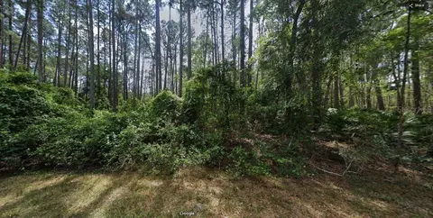103 Northeast Ct, Georgetown, FL 32139 photo 6