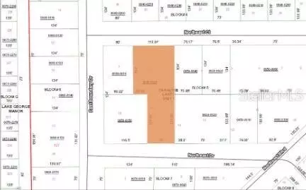 103 Northeast Ct, Georgetown, FL 32139 photo 2