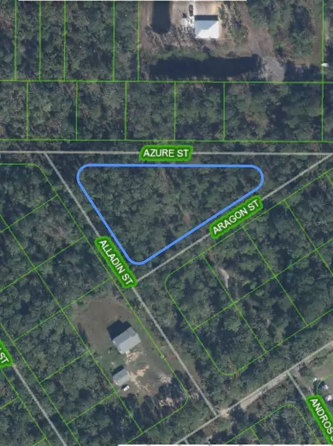 2433 Azure St, Sebring, FL 33875