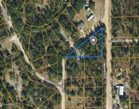 Brown St, Interlachen, FL 32148