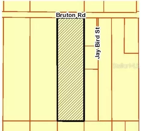Bruton Road, Plant City, FL 33565