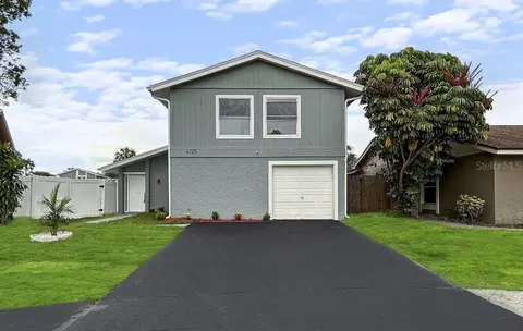 4725 Millpond Ln, Tampa, FL 33624