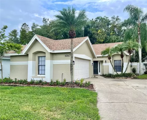6067 Parkview Point Dr, Orlando, FL 32821