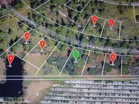 16040 S Orange Blossom Blvd, Lake Placid, FL 33852