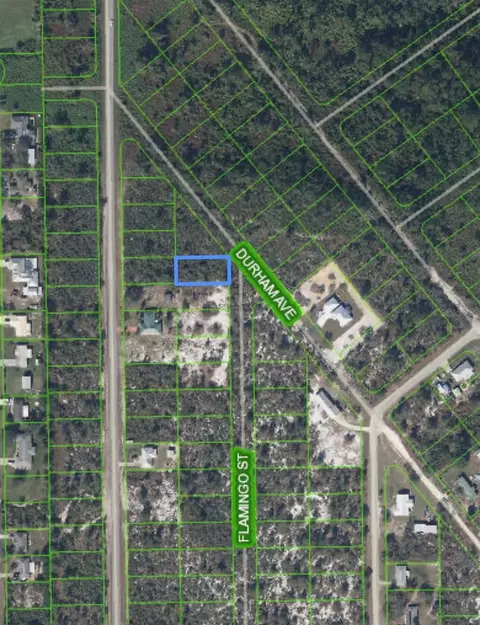 434 Flamingo St, Lake Placid, FL 33852