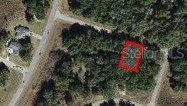 672 E Noah Ln, Dunnellon, FL 34434