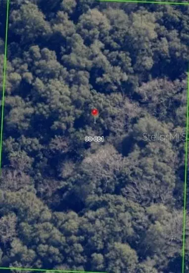 Terrell Road, Mount Dora, FL 32757