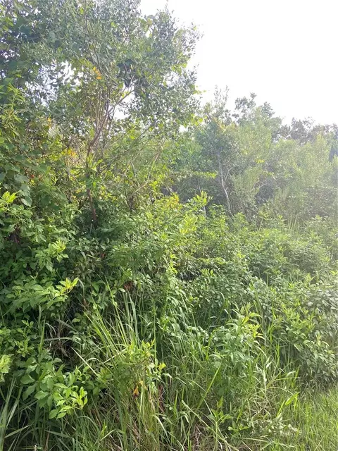 1869 Firethorn Rd NW, Palm Bay, FL 32907