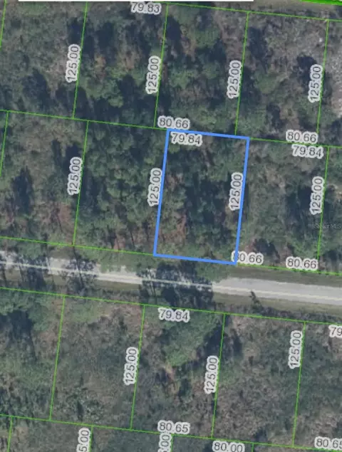 7902 Carillo Dr, Sebring, FL 33872