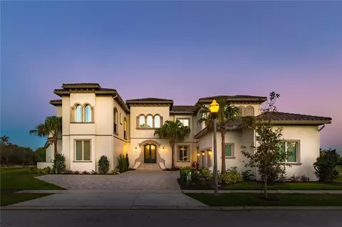 925 Desert Mountain Ct, Reunion, FL 34747