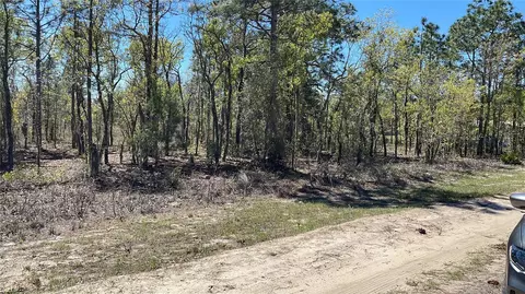 NE 56th Street, Bronson, FL 32621