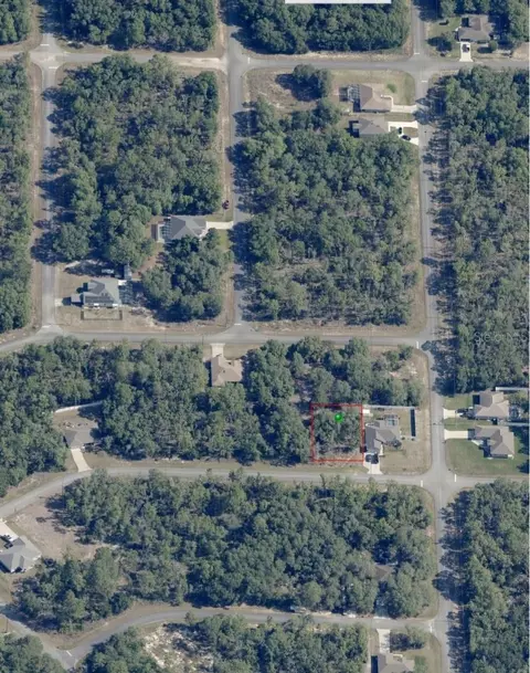 1245 W Mcneal Dr, Citrus Springs, FL 34434