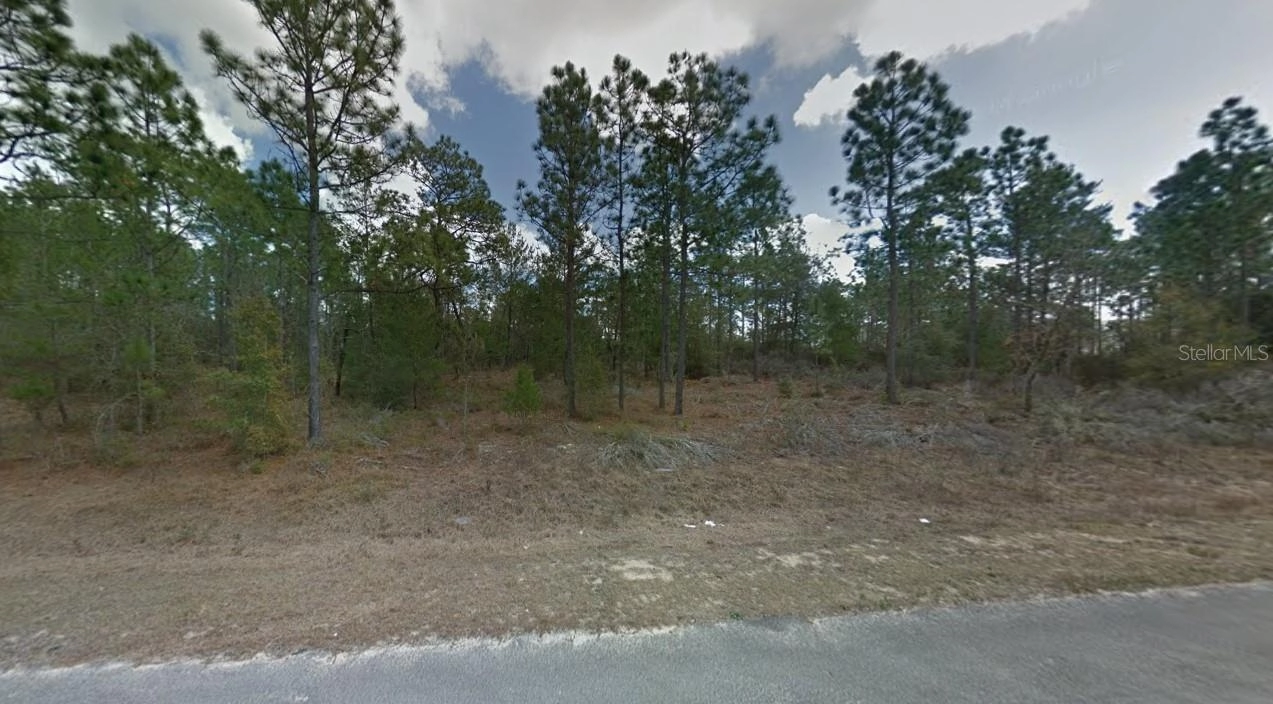 112 114 116 Paris St, Interlachen, FL 32148 photo 1