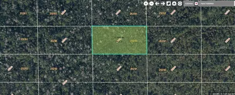 Dill Road, Orlando, FL 32820